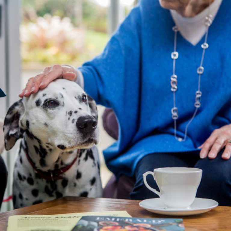 Care assistant supporting client with pet care in Lancashire